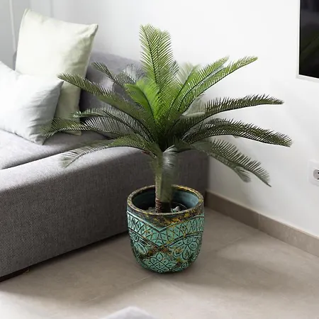 Leyre Mar Canteras By Canariasgetaway * Las Palmas de Gran Canaria